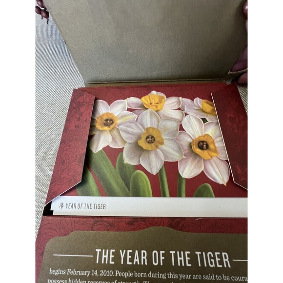 NEW Year of the Tiger Chinese Lunar New Year USPS Stamps Note Card Set  2010 - Picture 2 of 7